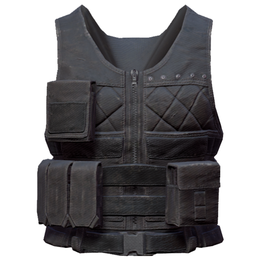 Level 2 Vest